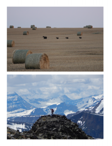 Bear Management Area 6 is unique, with productive agricultural lands and rugged peaks. Credit top: Angela Carter, Credit bottom: Spencer Rettler
